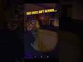 Repo | Why did he provoke the duck…?