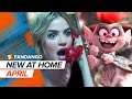 New Movies With Digital Releases in April 2020 | Movieclips Trailers