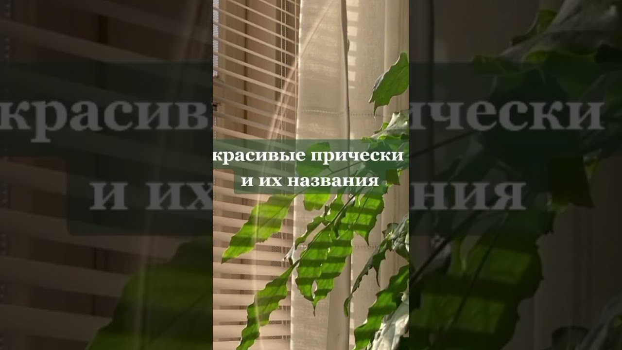 #маллет#причёска