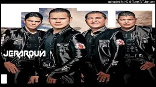 Enigma norteño-el chicken little 2016 Enigma norteño-el chicken little 2016