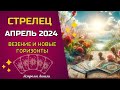 СТРЕЛЕЦ  Расклад на Апрель 2024. 3 главных события - Расклад Гранд Табло Ленорман на месяц