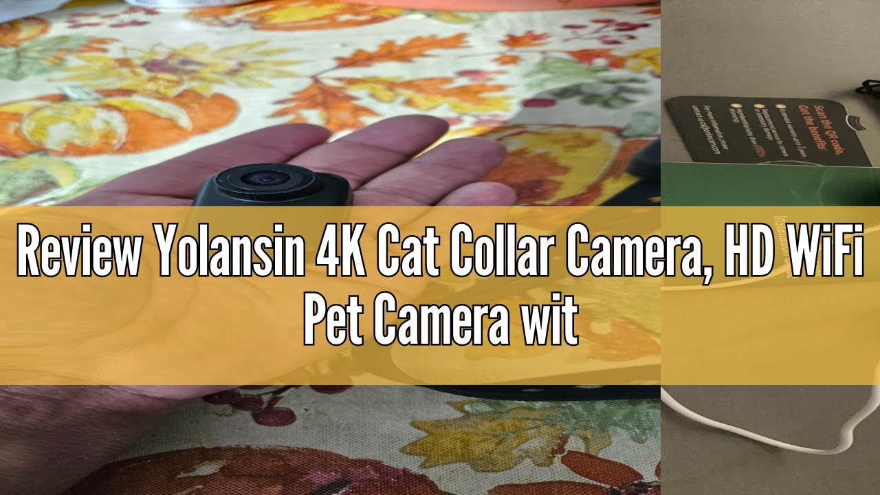 Telecamera Per Collare Gatti Yolansin 4K: Scopri Le Avventure Del Tuo Animale Domestico!