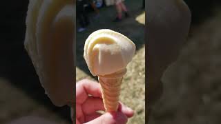 Wingdrops Reviews Garlic Ice Cream @ the Gilroy Garlic Festival 2019 screenshot 4