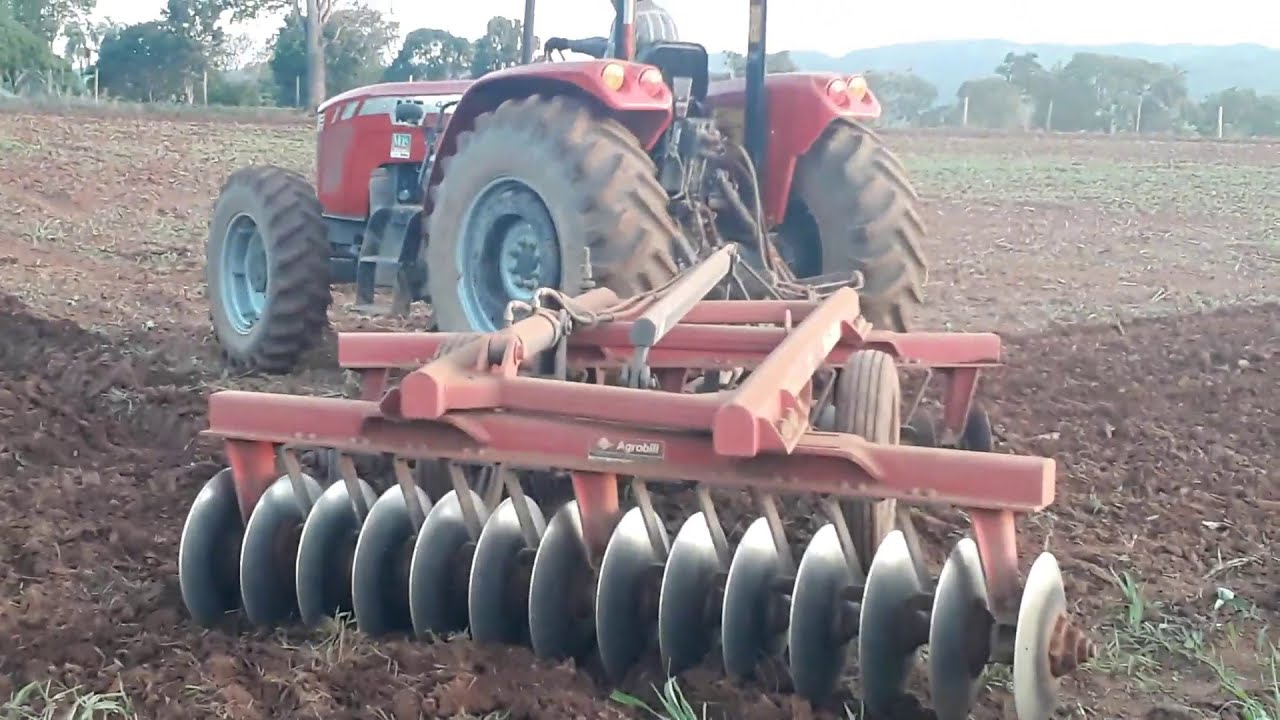 MF 4275 com niveladora de controle remoto Baldan de 28 discos