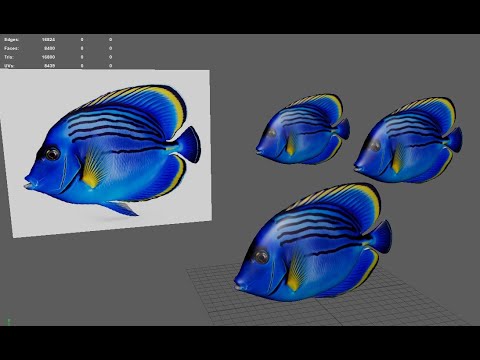 how to model and texture a fish in 3d maya for beginners - YouTube