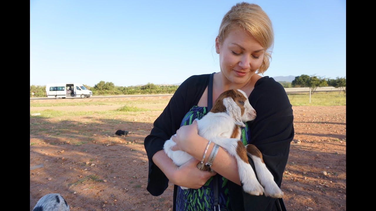 Coolturaikoty w podróży | Maroko vlog | Głośny i kolorowy Marrakesz