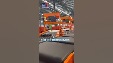 Loop cross belt sorting system