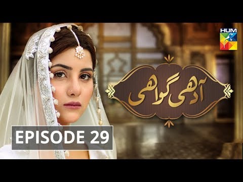 latest dramas on bbc Adhi Gawahi Episode #29 HUM TV Drama