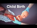 Labor and delivery  childbirth  dandelion medical animation labor