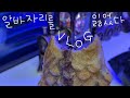 알바 자리 잃은 아줌마의 돌밥돌밥 일상