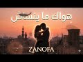 هواك ما ينساش  أغنية رومانسية عربية مؤثرة   2026