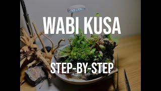 WABI KUSA STEP-BY-STEP!