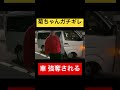 菊ちゃん遂に本気でキレた #shorts