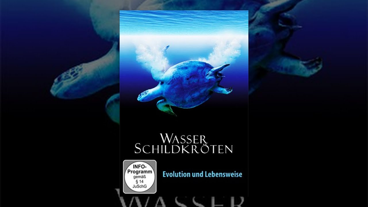Wasserschildkröten - Evolution und Lebensweise
