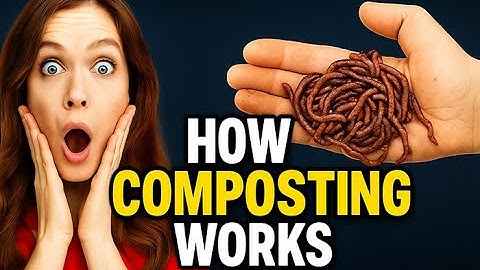 How Composting Works with Friendly Worms and Bugs