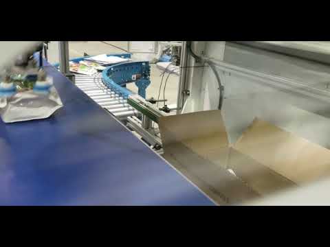 ABB Robot IRB 360 Packing frozen fruits