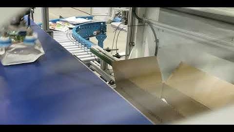 ABB Robot IRB 360 Packing frozen fruits