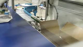 ABB Robot IRB 360 Packing frozen fruits