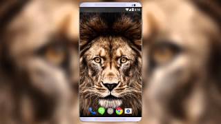 3D Lion Live Wallpaper screenshot 4