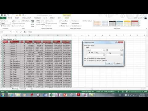 MS Excel 2013- Sorting and Filters