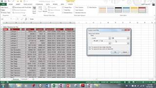 MS Excel 2013- Sorting and Filters