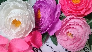 Peony paper flower - Hướng dẫn làm hoa mẫu đơn từ giấy nhún