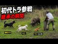 【リアルモンハン決着編】初代トラ参戦で空気が変わる　若犬たちが受け継いだ戦い方