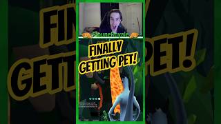 Getting Olmet pet on Leagues
