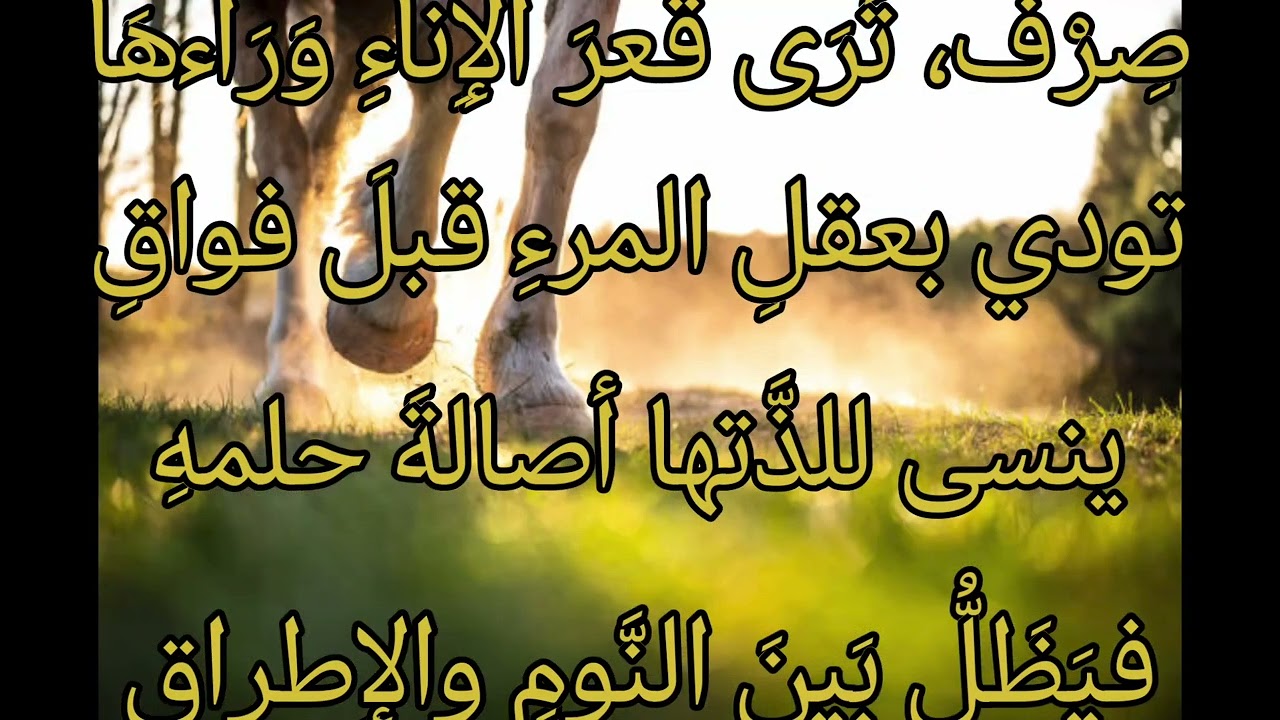 هاج المنازل رحلة المشتاق  ،  سلامة بن جندل
