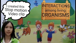 Interaction among living organisms  | Science 4  | Stop Motion Movie
