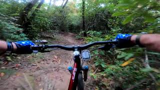 Avery Trail in Pisgah! by Dan Donohue 94 views 2 years ago 10 minutes, 20 seconds