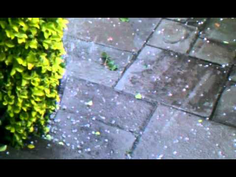 Hail Thunder Storm - Long Island, New York - August 1, 2011 - Shortened