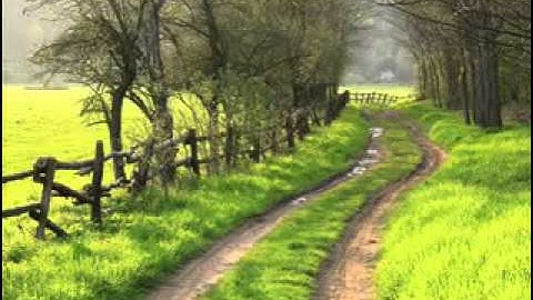ماهر المعيقلي تلاوه خاشعه من سورة المجادله