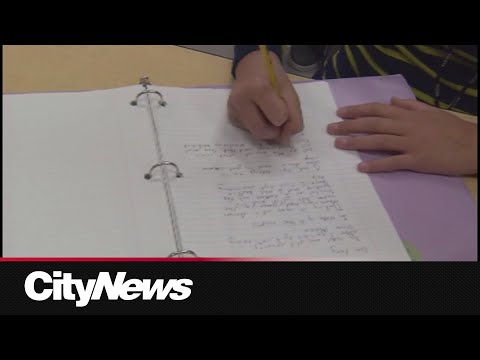 How To Become An Elementary School Teacher In Ontario