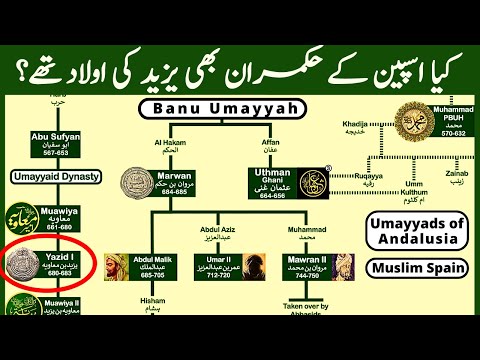 Who were the Umayyad rulers after Yazid?