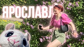 Vlog: визуальная поездка в Ярославль✨