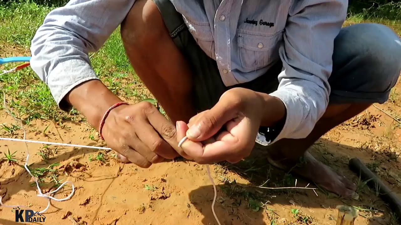 Primitive Technology  Man Make Crocodile Trap   How To Make Big Crocodile Trap Work