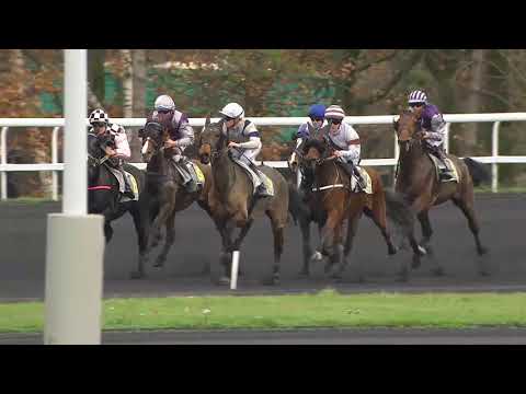 Exotica de Retz - Prix Philippe du Rozier - Vincennes - 02/12/18 - Exotica de Retz - Prix Philippe du Rozier - Vincennes - 02/12/18