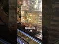 この時期にメダカの針子誕生#shorts