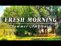 Relaxing Nature Ambience Meditation 🍀 SUMMER Swamp Healing Sounds