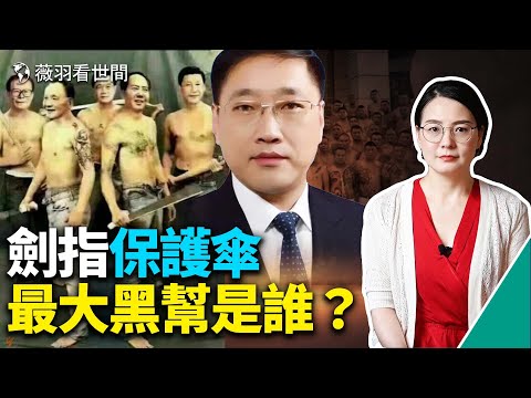 唐山打人事件黑幕重重,原来是权斗?澳洲华裔中国投资被黑势力勒索,损失上亿,人被关押。|薇羽看世间 第496期 20220615