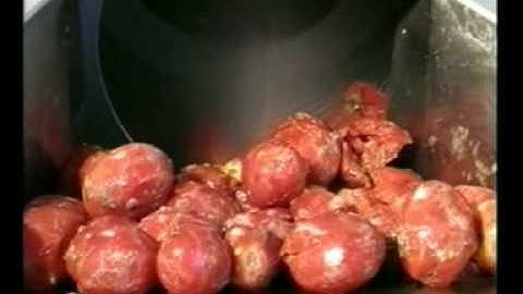 TOMATO GRADING SYSTEM