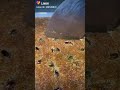 والله شكلي حبيتك ياقلبي لك يخرب بيتك انا شفتك صدفه ولقيتك صرت بدمي ادمان شكلك من عالم انا والله ضاي