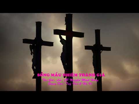 Video SỐNG MẦU NHIỆM THÁNH GIÁ - Lm. JB Nguyễn Minh Hùng - youtube