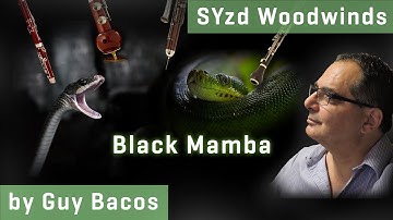 NEW: **Studio Series** VSL SYNCHRON-ized Woodwinds: Black Mamba, Screencast by Guy Bacos
