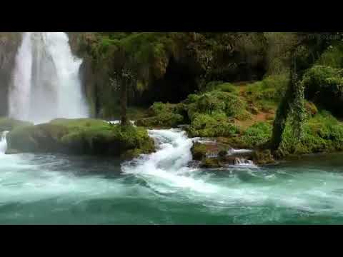 موسيقى هادئة تخلصك من التوتر وتنظف الجسد من الطاقة السلبية