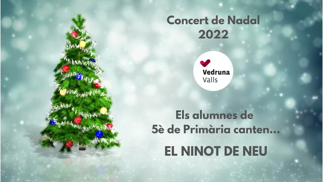 El ninot de neu - 5è de Primària