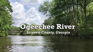 The Ogeechee River