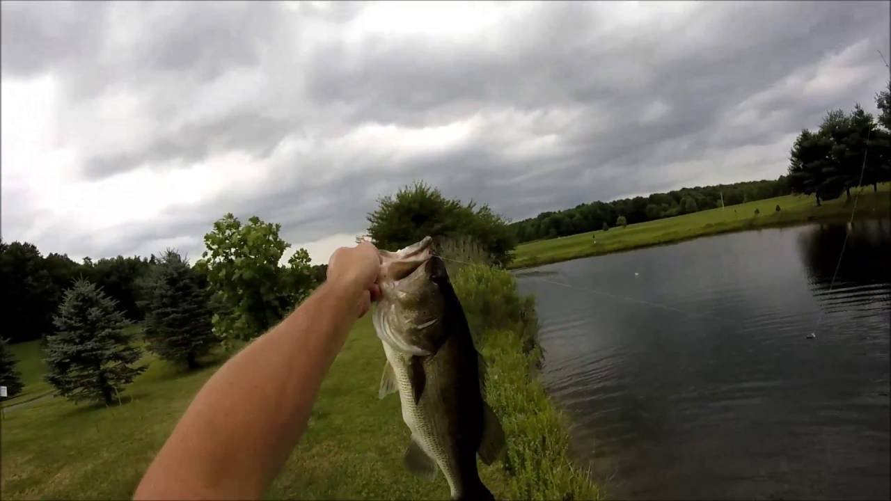 Secret Pond Fishing Southwest PA YouTube