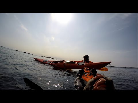 Video: Hvordan Velge En Flottør